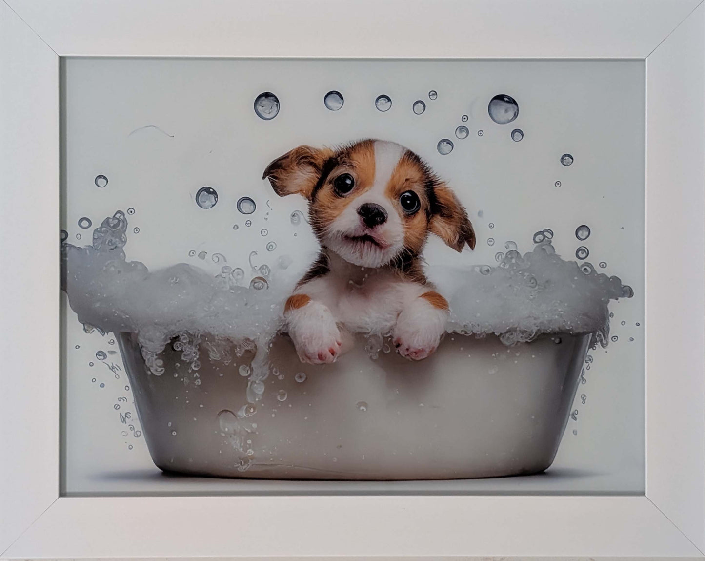 Puppy In Bath | Framed Print