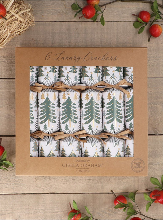 New England Trees Crackers Box of 6