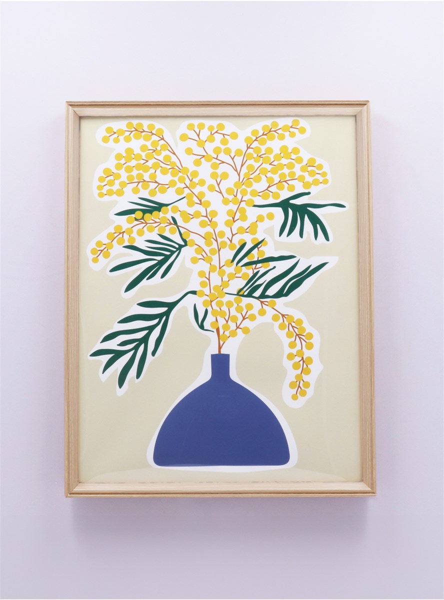 Framed Print | Mimosa