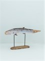 Rustic Wood Blue Whale On Plinth Born Lrg