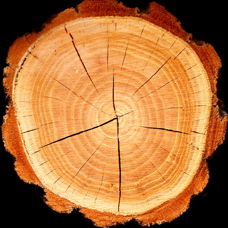 PLATINUM | Eau de Parfum | 50ml