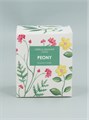 Boxed Scented Candle Large|Meadow