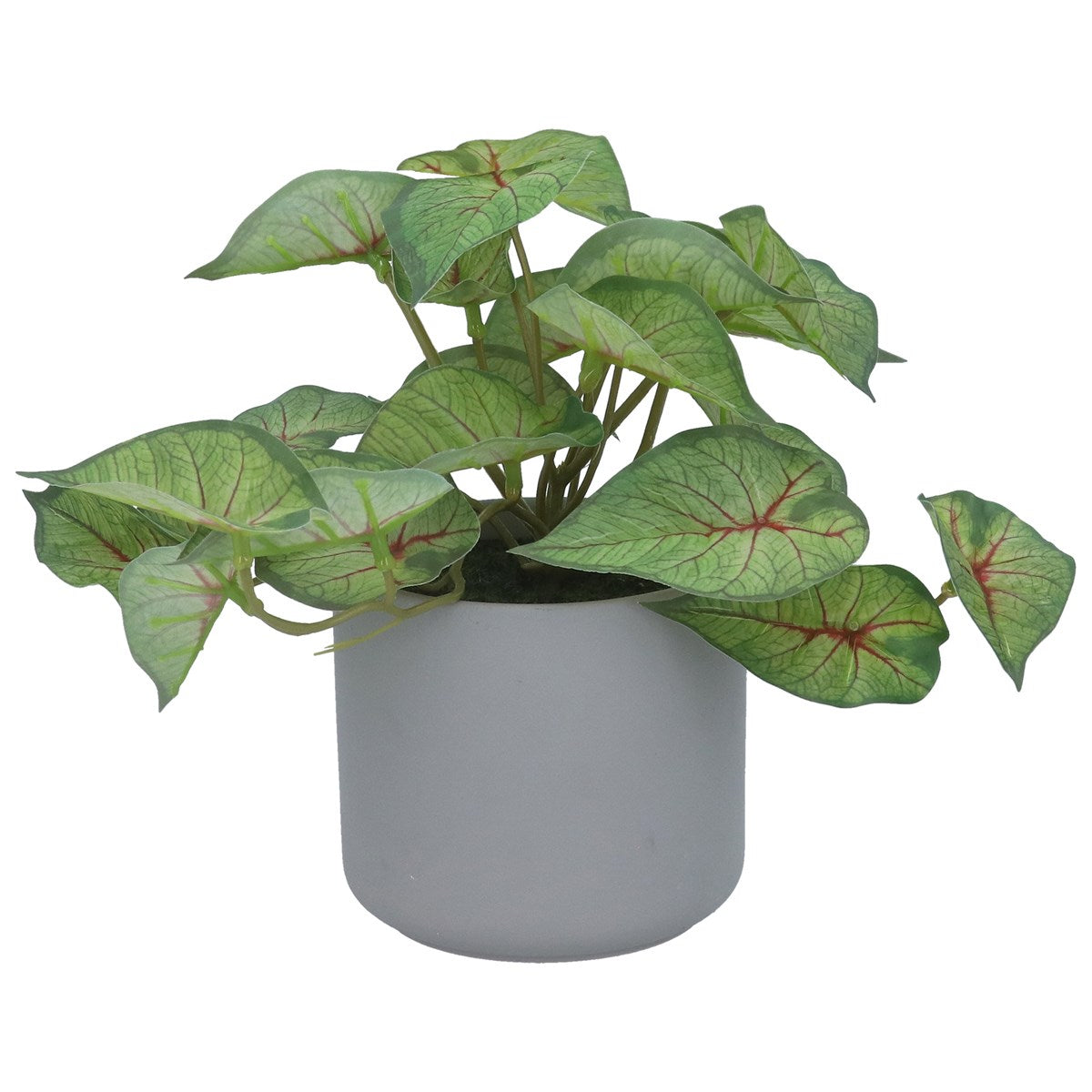 Faux Caladium In Pot