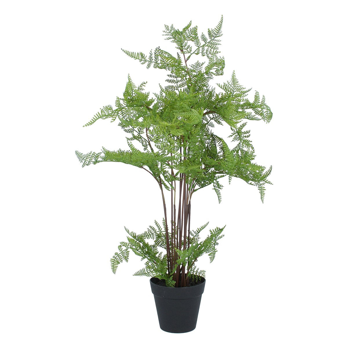 Faux Fern In Pot Large