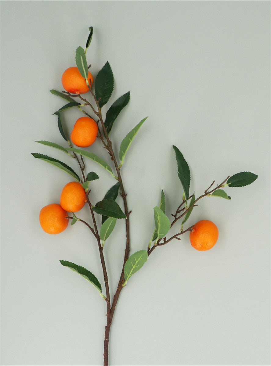 Clementine Branch