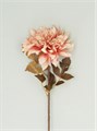 Antique Pink Dahlia Stem