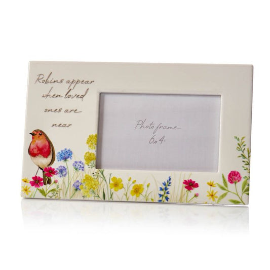 Robins Appear When Loved Ones Are Near Frame