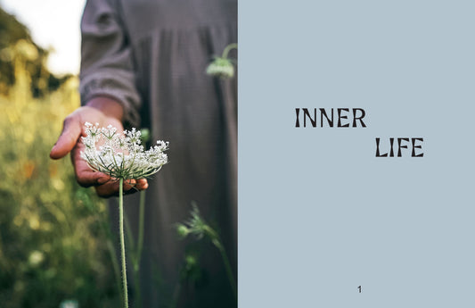 WILD LIFE: 50 PROJECTS TO REWILD YOUR LIFE (HB)