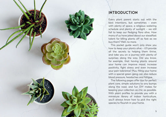 LITTLE BOOK FOR PLANT PARENTS (HB)