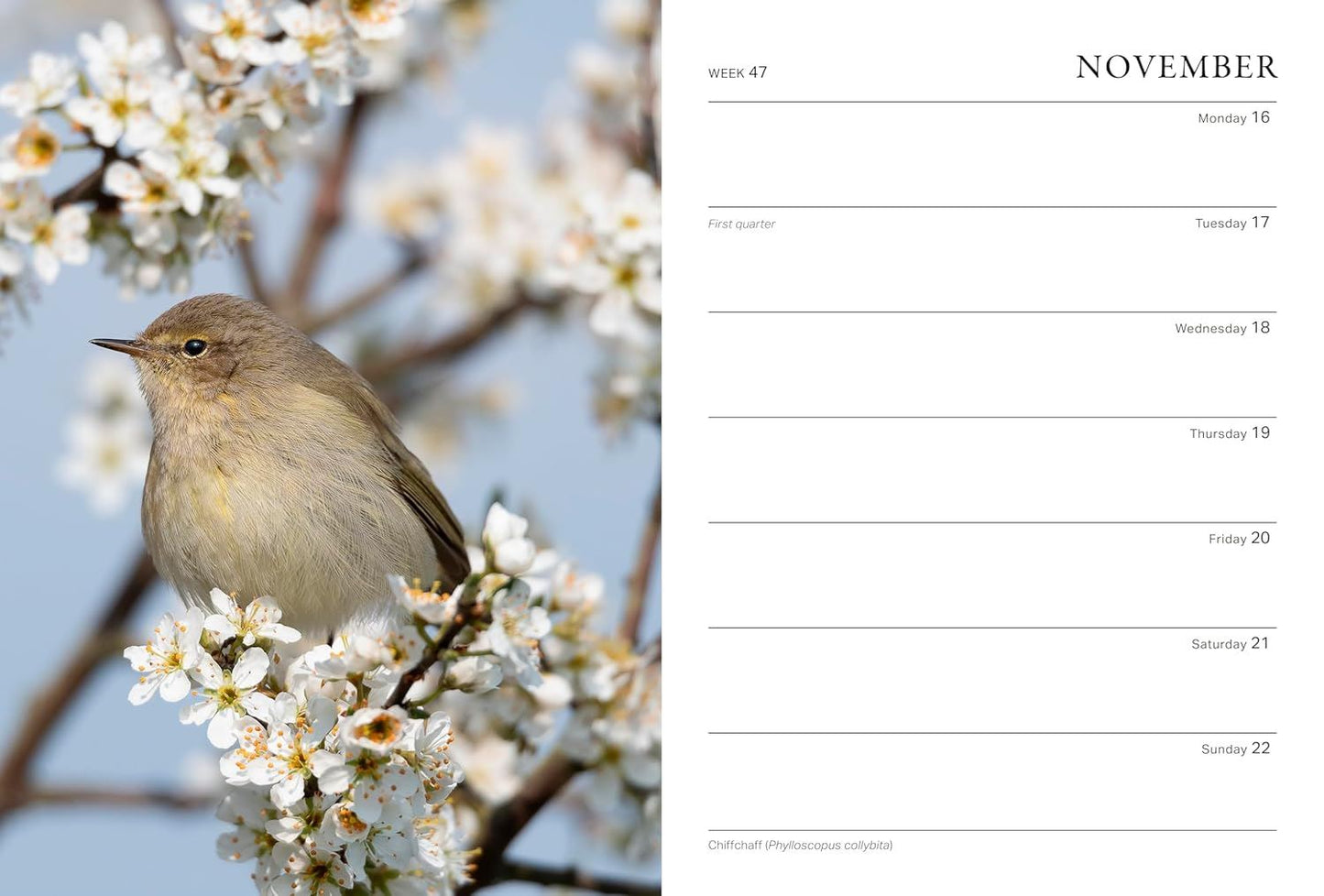 RHS Wild In The Garden Diary 2026