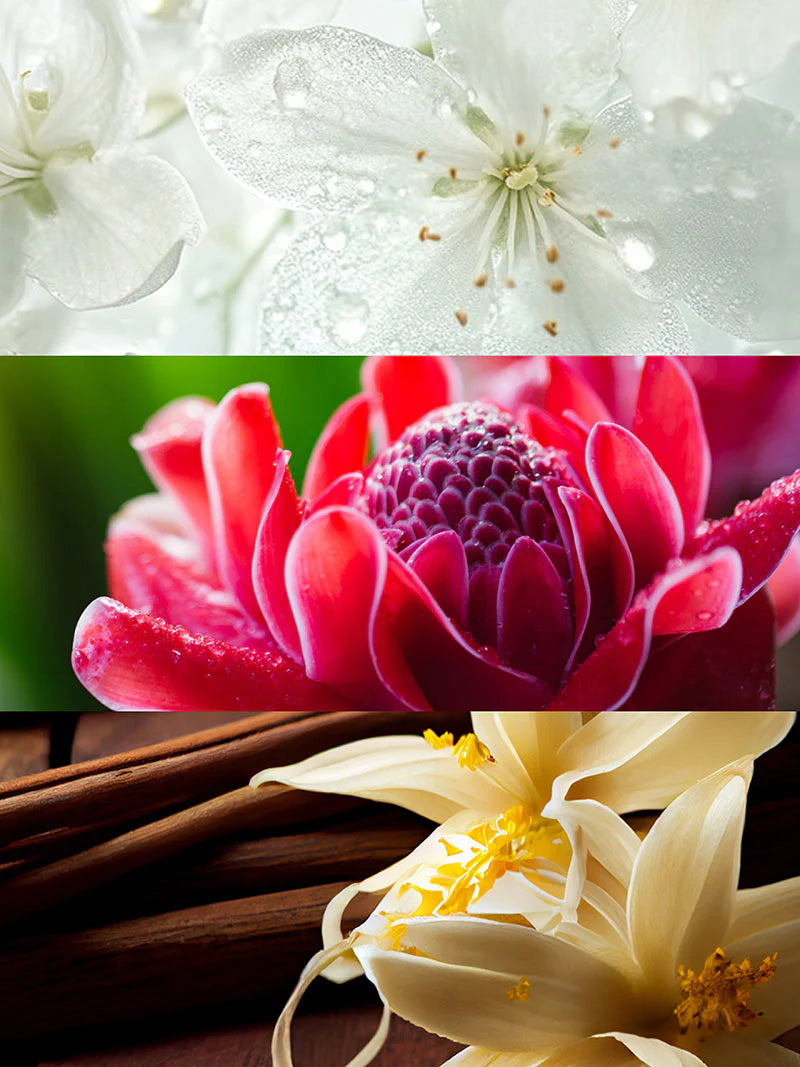 Yodeyma | Nº13 | Inspired by Paco Rabanne's Olympea