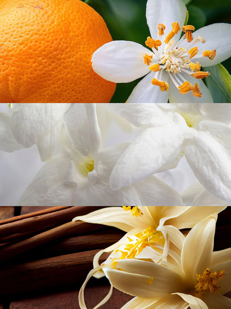 Yodeyma | Nº18 | Inspired by Dior's Dior Addict