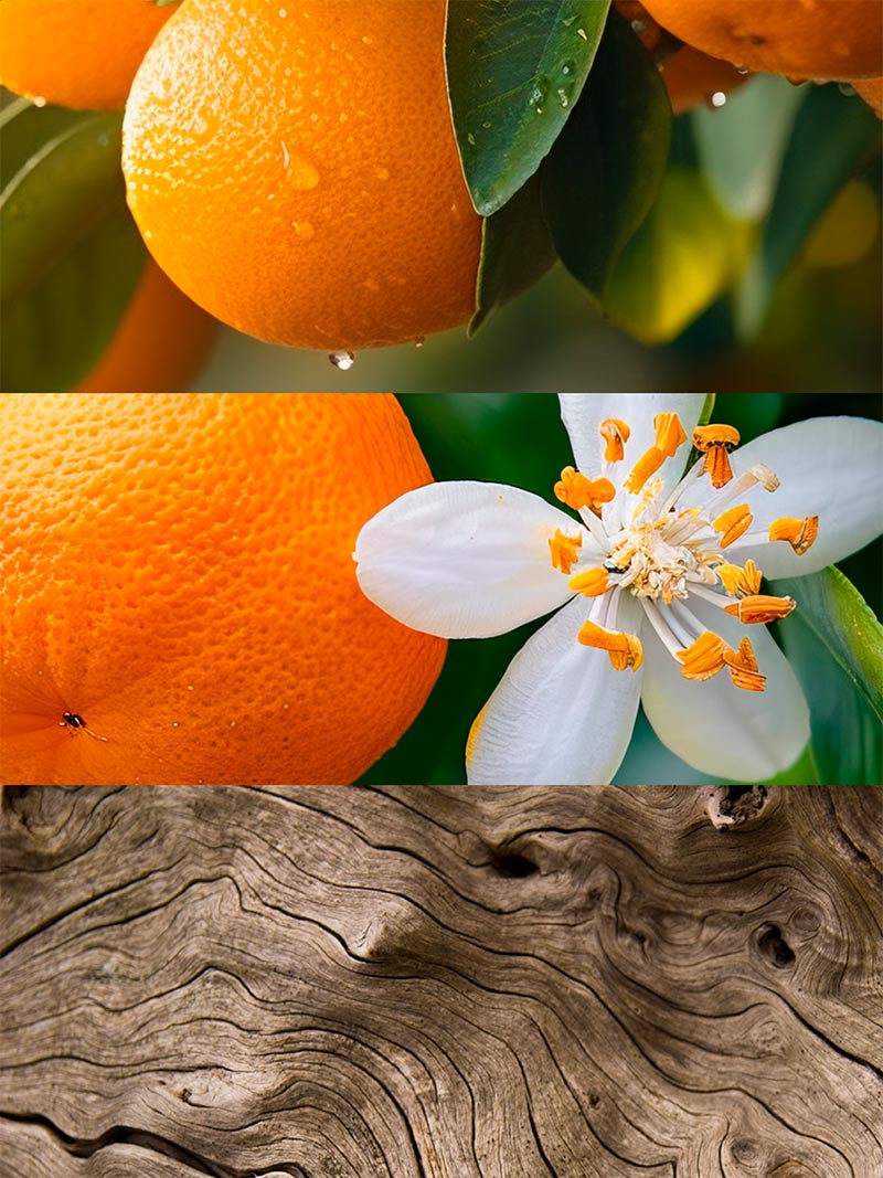 Yodeyma | Nº32 | Inspired by Parfums de Marly's Valaya