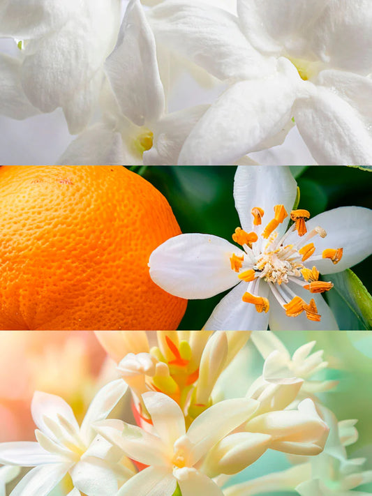 Yodeyma | Nº48 | Inspired by Chanel's Gabrielle