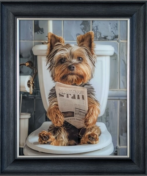 Yorkshire Terrier On Toilet