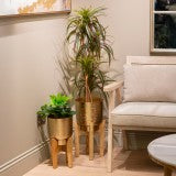 Aruna Planter With Mango Stand Gold Lrg