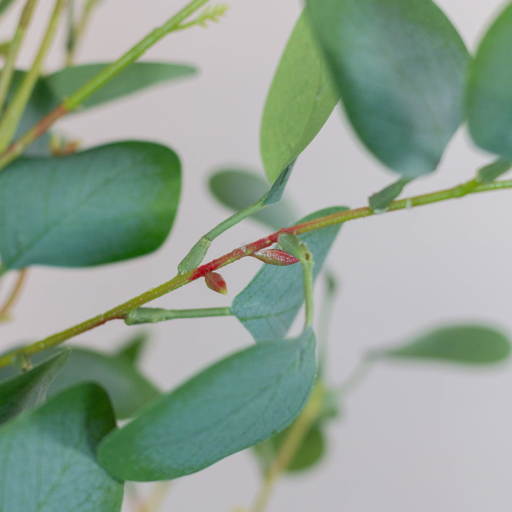 Artificial Eucalyptus Tree 130cm
