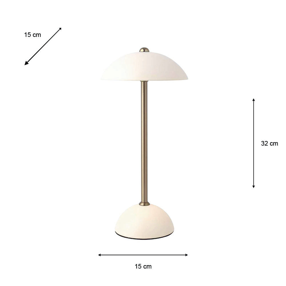 Apollo USB Rechargeable Lamp | Matt Ivory