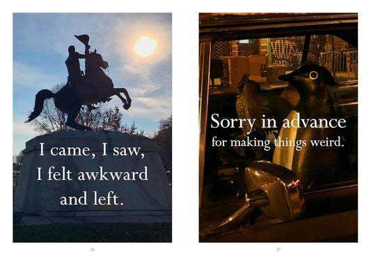 Sorry In Advance For Making Me Weird | Disappointing Affirmations