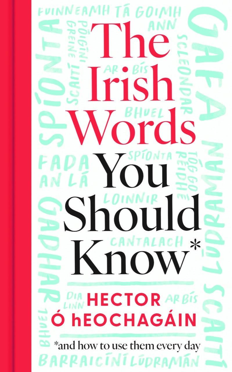 Irish Words You Should Know (HB)