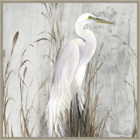 White Egret by Aimee Wilson