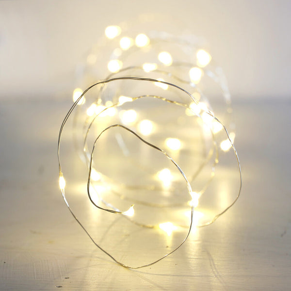 30 Battery Powered LED Silver Wire String Lights