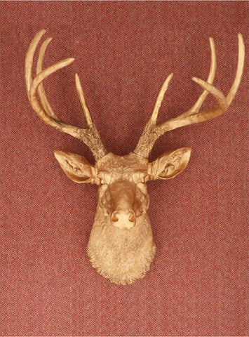 Gold Resin Stag Wall Plaque