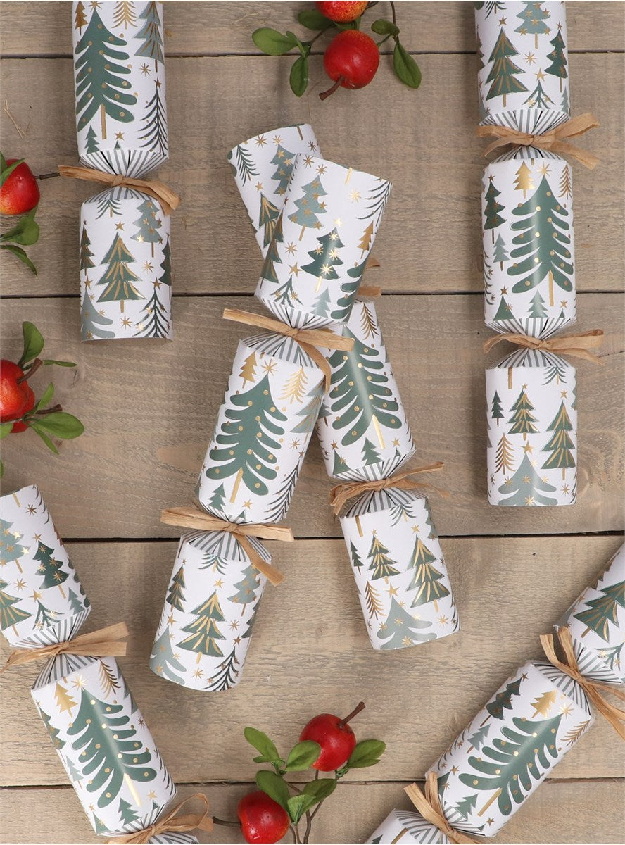 N/E Trees Crackers Box/6