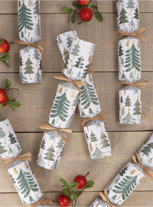 N/E Trees Crackers Box/6