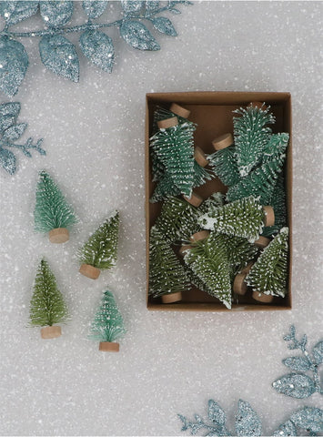 Snowy Mini Fir Tree Box/12