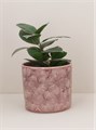 Dusky Pink Cosmos Stoneware Pot Cover Med