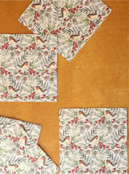 Napkins | Robins | Pack of 20