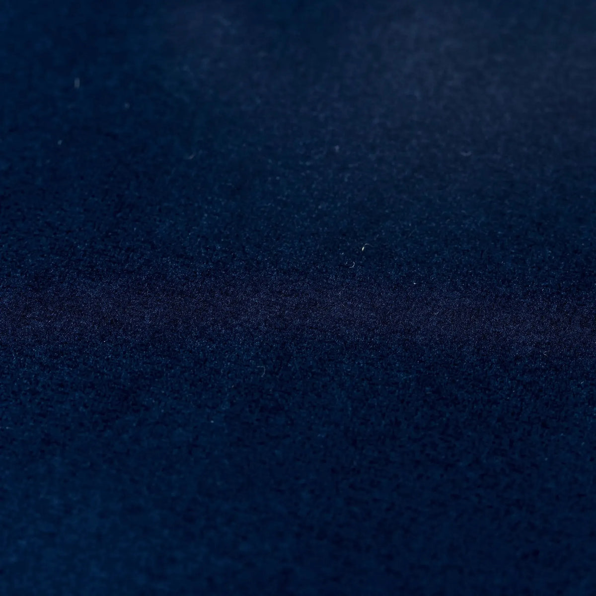 Scatter Box | Stella Midnight & Sand | 43 x 43cm