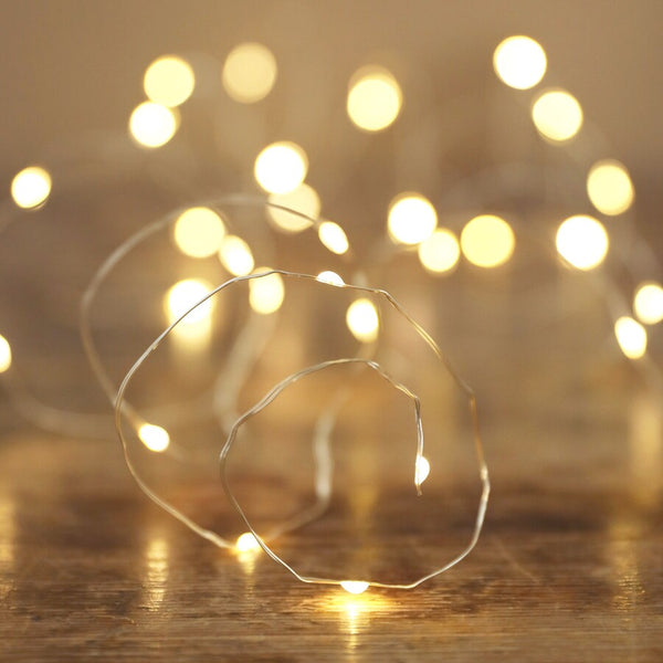 30 Battery Powered LED Silver Wire String Lights