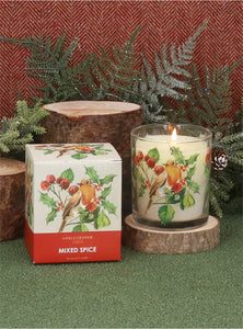 Robin/Berries Scented Boxed Candle Pot Lge