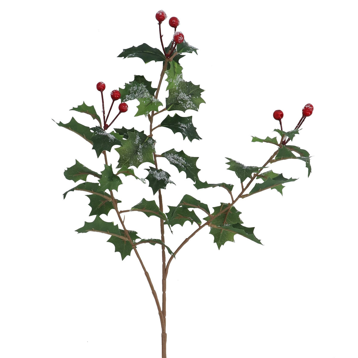 Holly With Berries Spray