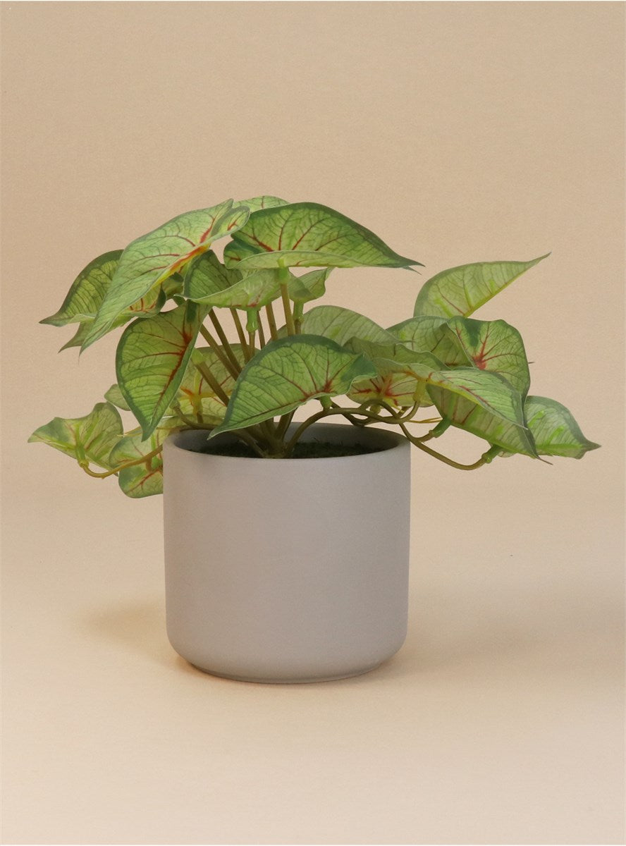 Faux Coleus In Pot