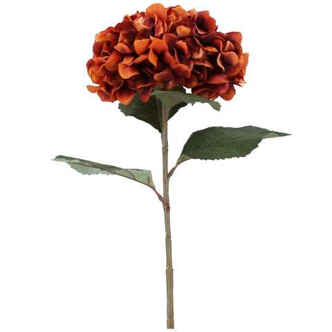 Russet Giant Hydrangea Stem