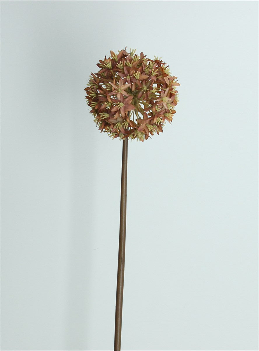 Stem | Antique Russet Allium | 60cm