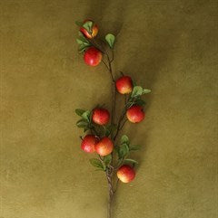 Apple & Leaf Branch | 65cm