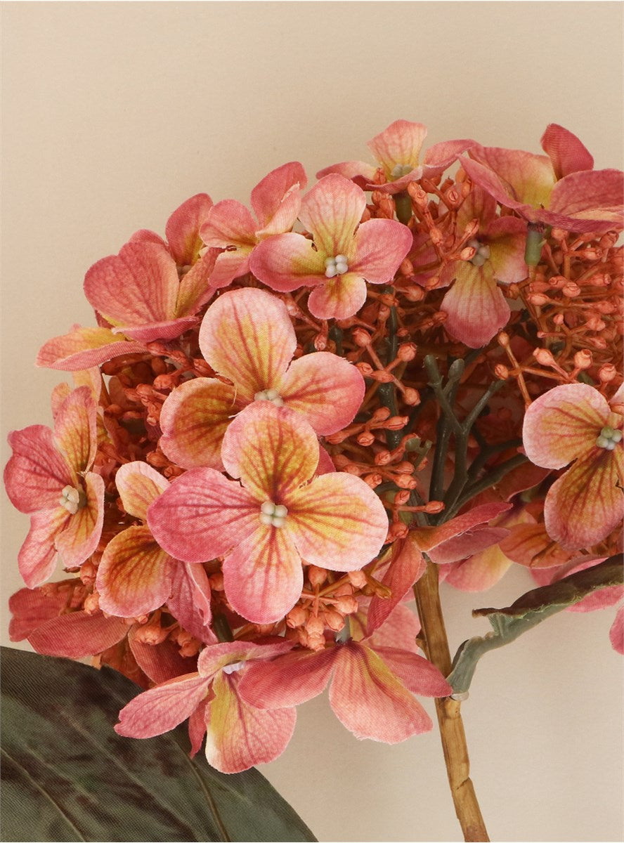 Dusky Pink Lacecap Hydrangea Stem | Short