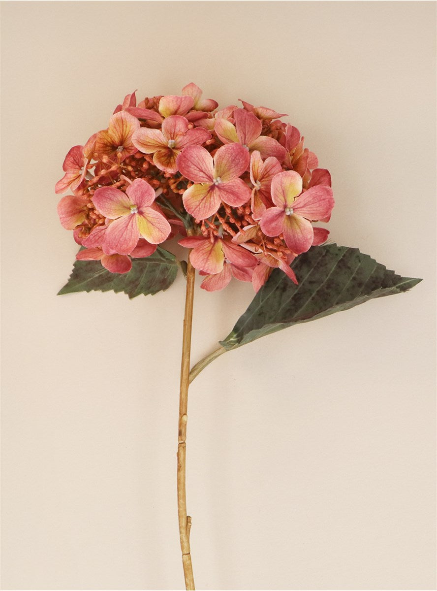 Dusky Pink Lacecap Hydrangea Stem | Short