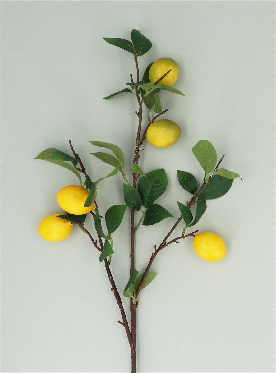 Lemon Branch