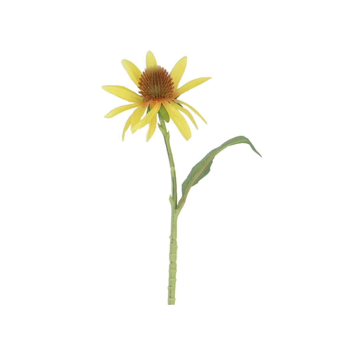 Yellow Rudbeckia Pick