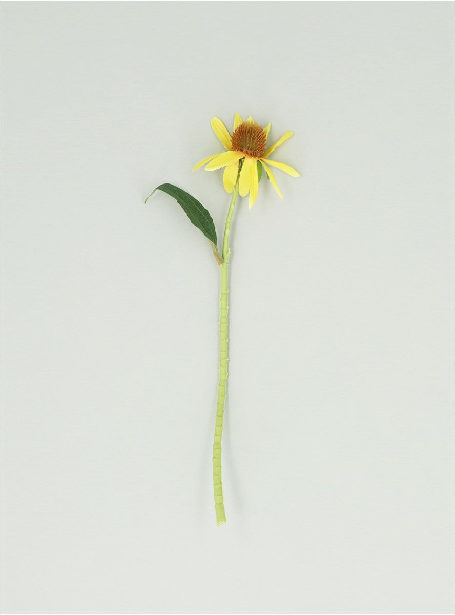 Yellow Rudbeckia Pick