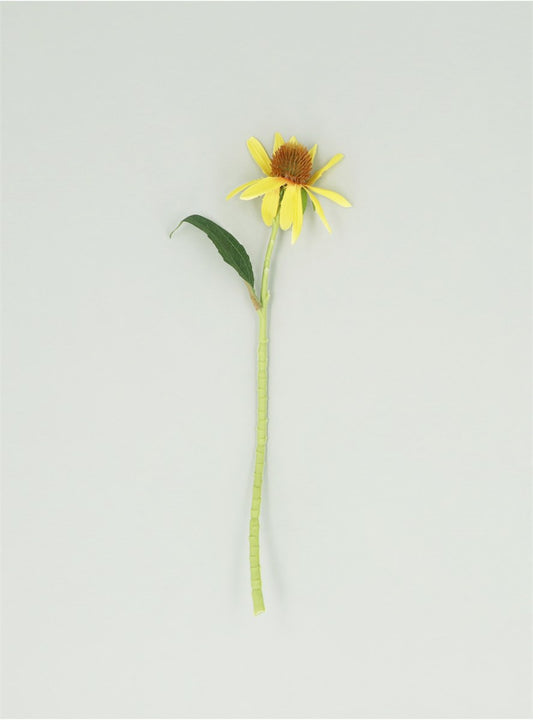 Yellow Rudbeckia Pick