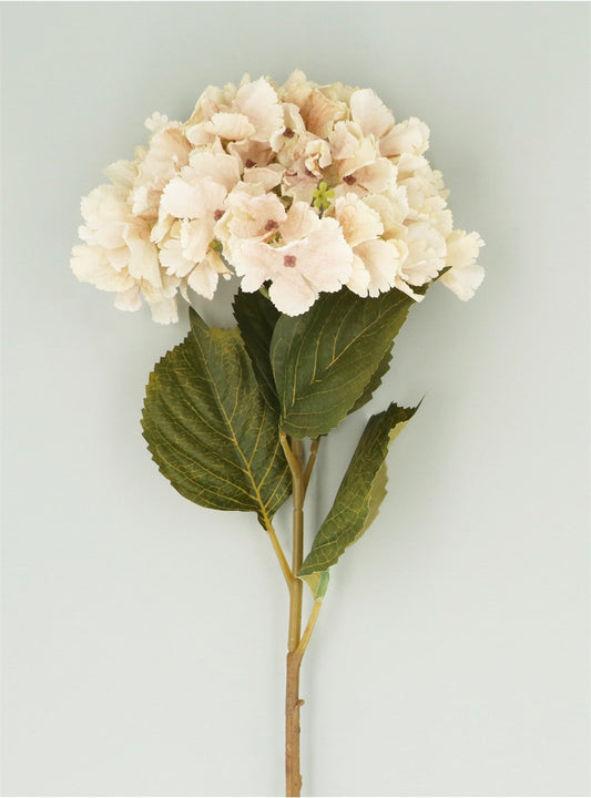 Antique Cream Hydrangea Stem