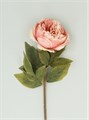 Antique Pink Peony Stem