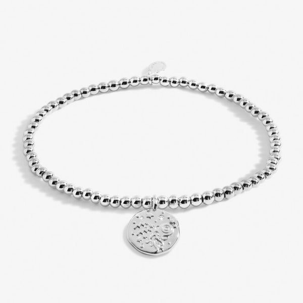 Star Sign A Little|Aquarius|Bracelet|17.5cm
