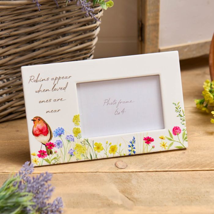 Robins Appear When Loved Ones Are Near Frame